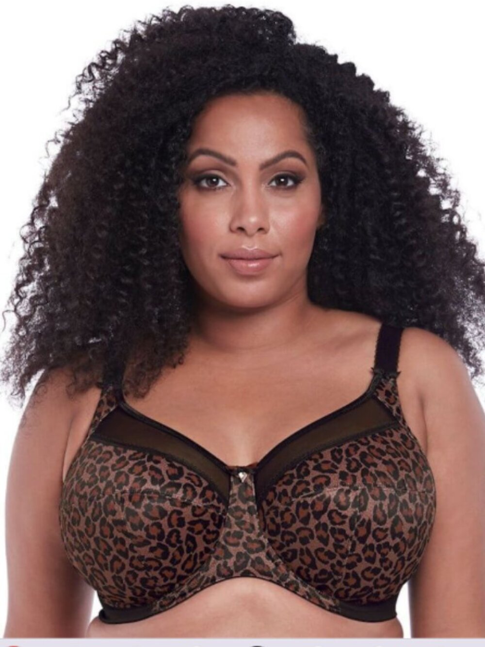 Goddess Kayla Underwire Banded Bra Dark Leopard Plus Size 38I NWT